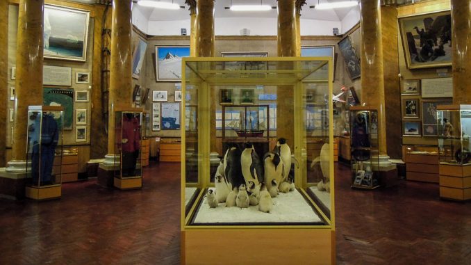 Arktis und Antarktis Museum