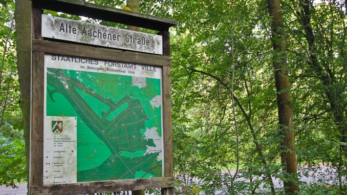 Königsdorfer Wald und Glessener Höhe